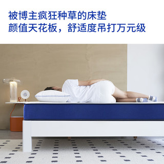  IMY-HOME/艾美悦 记忆棉 床垫  两用款 软硬两用整张发【22cm】 20-25cm（含） 偏硬