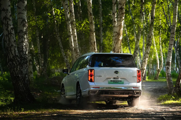广汽传祺 GAC MOTOR 传祺ES9 PHEV