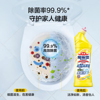 KAO花王洁厕灵马桶清洁剂除垢液洗厕所除臭去异味4瓶