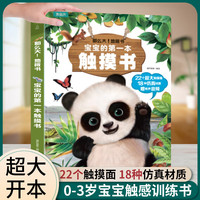 宝宝的第一本触摸书 早教触摸书婴儿书感官刺激绘本 那么大地板书 1岁撕不烂立体儿童读物0到2岁3岁启蒙看图认知学习益智翻翻书 【超大地板书】宝宝的第一本触摸书