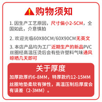 门外地垫丝圈脚垫门口欢迎光临出入平安门垫进门入户地垫迎宾地毯
