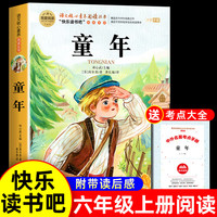 快乐读书吧六年级上下册童年爱的教育课外阅读必读小英雄雨来儿童读物小学课外阅读书籍 【单册 送考点】童年
