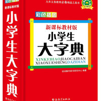 小大字典（彩色插图版）