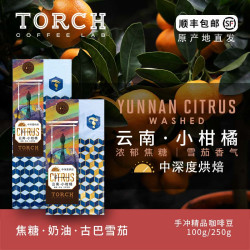 TORCH COFFEE 炬点咖啡 云南普洱小柑橘水洗手冲单品咖啡豆 100g