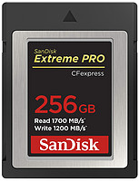 SanDisk 闪迪 256GB Extreme PRO CFexpress 卡 B 型