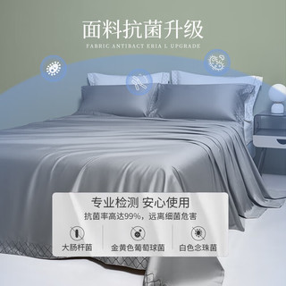 La Torretta 床单单件 80支抗菌长绒棉刺绣纯色全棉床单床罩 中灰245*250cm 中灰【抗菌纯棉】