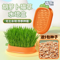 小猫喵喵猫草种子 猫草盆栽套装组合猫咪零食洁牙美毛水培猫草 猫草盒套装 #1#