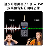 DSP防啸叫万能无线麦克风蓝牙舞台ktv演出家庭k歌一拖二话筒