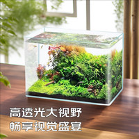 燕之雁 客厅小型金鱼缸迷你高清热弯玻璃带造景 适用办公室书房卧室桌面 裸缸+增氧泵+造景 25*16*18 cm