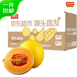 京鲜生 山东黄河蜜瓜 净重 4.5-5斤 2粒装 单果 2斤+ 生鲜水果源头直发 