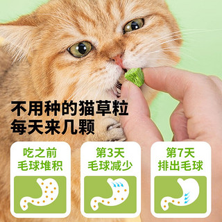 澳诺滋（Aonuozi）猫草冻干粒片去化吐毛球已种好猫咪零食鸡肉猫薄荷猫咪磨牙棒用品 化毛猫草1罐+磨牙鸡脖1袋