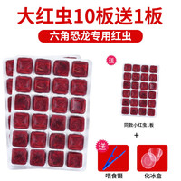 YEE六角恐龙饲料鱼食娃娃鱼蝾螈东方龟苗开口冷冻底栖鱼红虫鱼粮 【六角恐龙】大红虫10板加1板/冷链