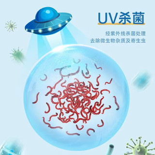 YEE六角恐龙饲料鱼食娃娃鱼蝾螈东方龟苗开口冷冻底栖鱼红虫鱼粮 【六角恐龙】大红虫10板加1板/冷链