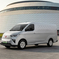 上汽通用五菱 五菱扬光