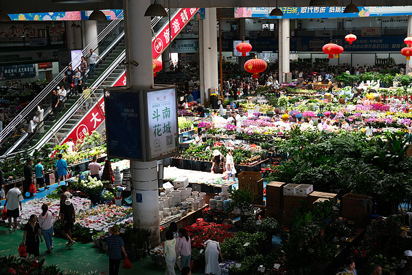 去春城避寒！恒隆隔壁新晋网红，寒假平日不加价！昆明君悦酒店 君悦客房（大床）1晚（含双早+SPA九折+欢迎水果等）