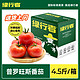  GREER 绿行者 普罗旺斯番茄 4.5斤*1箱　
