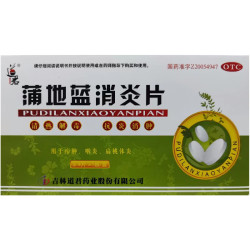 道君 蒲地蓝消炎片 0.25g*24片 
