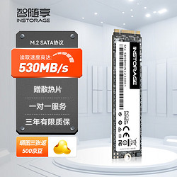 INSTORAGE 智随享 240GB SSD固态硬盘 M.2接口SATA协议 读速530MB/S S200系列 240G（散片）