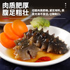 三只海豚大连即食海参鲜食辽参单个装500g 1斤