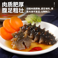 三只海豚大连即食海参鲜食辽参单个装500g 1斤