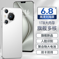 MLLED/米蓝讯联 SC2022707 6.8英寸大屏 1024GB 5G智能手机