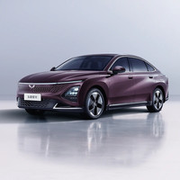 上汽通用五菱 五菱星光