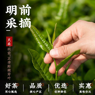 第一江南安吉绿茶白茶 特级20g2024新茶明前茶叶罐装春茶品鉴装自己喝