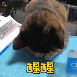 YA!好巧你也来看展!