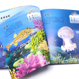  海洋图典：让孩子着迷的105种海洋动物暑假阅读暑假课外书课外暑假自主阅读暑期假期读物