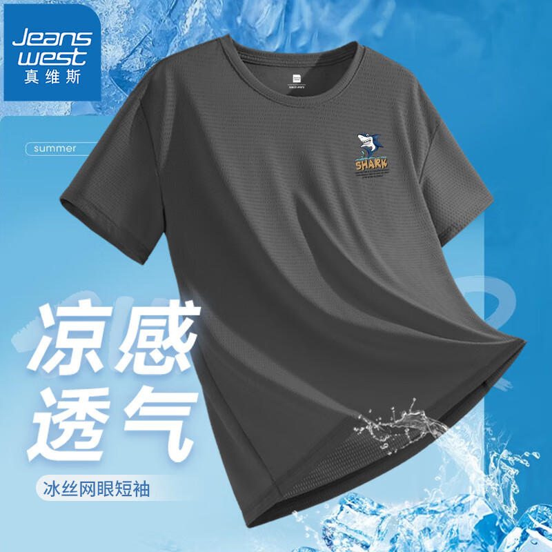 灰#ZS小鲨鱼