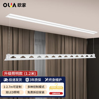 OUJIA 欧家 隐形电动晾衣架阳台隐藏嵌入式衣杆自动升降超薄智能晒衣架D01-12