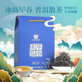 滇吉號冰岛早春云南普洱茶生茶散茶茶叶散装老树乔木明前春茶口粮茶生普 冰岛早春500克