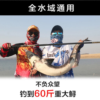 捷戈（JoggerTeam） 高碳素钓鱼竿手竿鱼杆超轻超硬调碳素鲫鱼竿鲤鱼竿黑坑竞技钓竿 3.9米【休闲版】6H28+大礼包