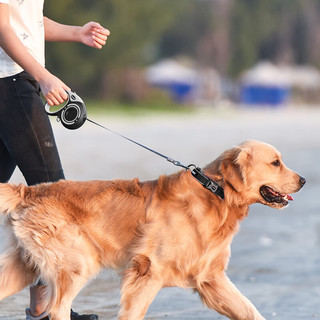 多尼斯（DOGNESS）狗狗牵引绳遛狗绳狗链