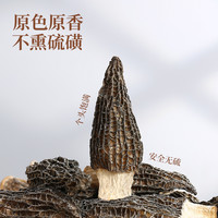 伴晓仙羊肚菌干货新鲜菌菇野生头茬精品大号火锅煲汤材料10g