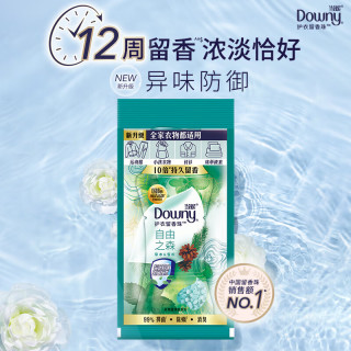 Downy 当妮 花萃密语系列 护衣留香珠 20g 草木清香