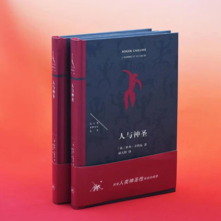 人与神圣 探索人类神圣性体验的根源 法兰西思想文化丛书