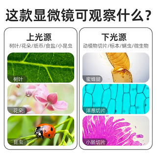 麦克奥迪（Motic） 显微镜儿童专业光学科学实验细胞高初中小儿童节 SW200DL