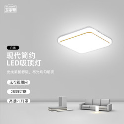 WEIJIABANG 卫家邦 LED吸顶灯方形现代简约卧室阳台楼梯走廊照明灯 22*22cm12W白光