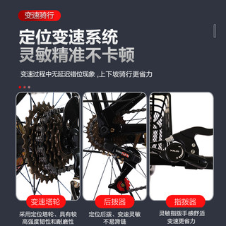 FLYING PIGEON飞鸽儿童山地车避震5-10岁中大童20/24自行车女孩中小男单车