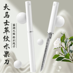 兴刃 大马士革纹水果刀 不锈钢 多功能
