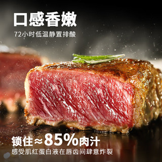 NOSYBE家庭盒装精选调理菲力牛排共1000g 10片装 调理牛排1000g