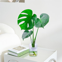 爱你一万年春羽绿植盆栽花卉植物室内易养活龟背竹无土春羽水培植物室内好养 1棵龟背竹30-40cm（原土无盆）+