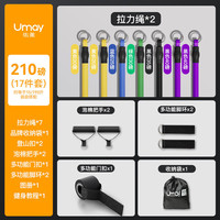 Umay佑美(YOU MEI)拉力绳弹力绳男弹力带门上拉力器家用练胸肌训练器材练背 大师【高弹防断210磅/95.2kg】17件套