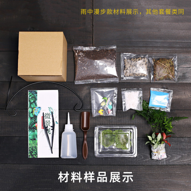 JINGJIAO 菁娇 10cm桌面苔藓微景观小花盆栽鲜活植物幼儿园切口生态瓶DIY材料包