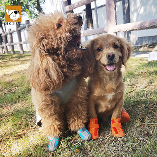 HCPETHCPET小狗狗鞋子防脏防水防滑鞋泰迪比熊小型犬夏季透气轻便鞋套 升级粉色防水 4号【宽4.3CM】20斤以内