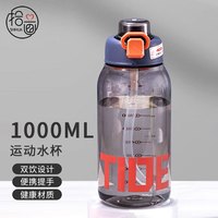 拾画塑料杯小吨杯带吸管1000ml 大容量户外便携水杯