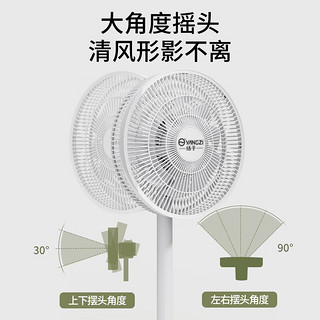 扬子电风扇家用简约落地扇遥控定时空气循环扇轻音大风力卧室客厅节能摇头扇趴地扇轻音低噪立式风扇 升级15叶＋机械款