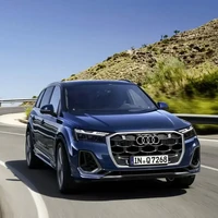 Audi 奥迪 Q7 24款 45 TFSI quattro S line运动型 7座