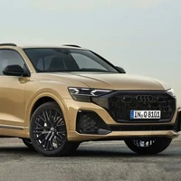 Audi 奥迪 Q8 24款 45 TFSI quattro 豪华动感型